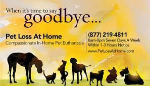 Maybe you would like to learn more about one of these? Pet Loss At Home Home Euthanasia Vets In Houston Texas June 14 2021 At Houstontxlocal Com