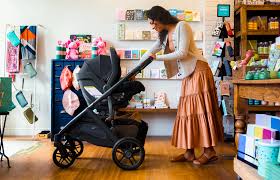 Vista V2 Stroller - Lucy - UPPAbaby
