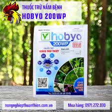 Hobyo 200WP