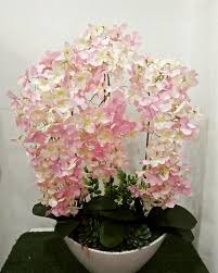 Check spelling or type a new query. Gubahan Bunga Hydrangea Colour Gubahan Bunga Murah Facebook