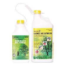 We did not find results for: Dormant Oil Spray Lime Sulphur Kit Plastic Clear Bag 500r Alliston Botanix