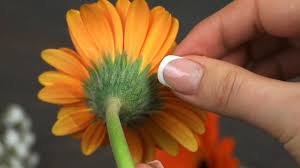Cut off any extra stems. How To Make A Boutonniere 9 Steps With Pictures Wikihow