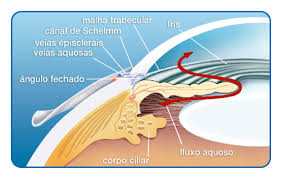 El glaucoma es una enfermedad ocular que se caracteriza por la pérdida de visión como consecuencia de un daño en el nervio óptico secundario (el nervio que lleva las imágenes, que han sido convertidas en impulsos eléctricos en la retina, hasta el cerebro). Glaucoma Oftalmocenter