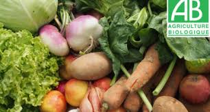 Achat Fruits Et Legumes Bio Direct Producteur