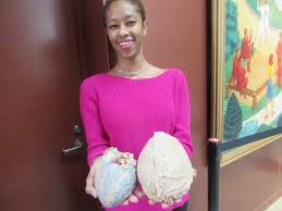 Pngkit selects 31 hd real heart png images for free download. Real Brain And Real Heart Preserved That You Can Really Touch Picture Of National Museum Of Health Medicine Washington Dc Tripadvisor