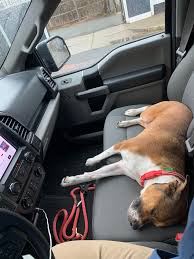 Two included bolster pillows add some extra cushion and support. Why Bench Seats Are The Best Trucks
