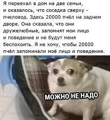 А может не надо мем