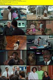 Doctor Dolittle 1998 Castellano