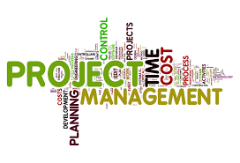 Project Management DO And Don&#39;t Bagian 1 - IPQI