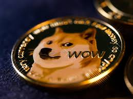 Make elon musk dogecoin memes or upload your own images to make custom memes. Is Dogecoin A Good Investment Elon Musk Continues To Support The Meme Cryptocurrency But Experts Say It Is Risky Cryptocurrency News Room