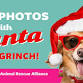 Pet Photos with Santa & The Grinch @ Hollywood Feed - Hollywood Feed, 15 On The Mall Event Image