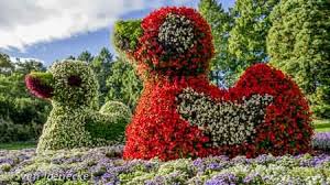 Blumen Enten Insel Mainau Bodensee Insel Mainau Insel Bodensee Urlaub