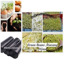 Cara membuat tauge sendiri dengan menggunakan botol bekas, hallo sahabat, kali ini saya share tentang cara membuat tauge. 100gramsgreen Beans Kacang Hijau Shopee Malaysia