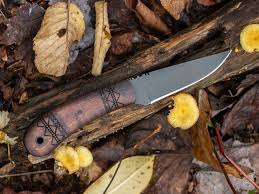 Image result for Sorindeia winkleri