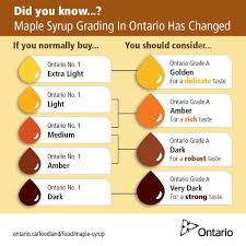 Buy Macleod Maple Syrup