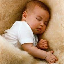 When you dry your rug, make sure you avoid drying it on or near any heat source or in direct sunlight. How To Care For And Clean Your Sheepskin Rugs Cindi S Journey Owen Barry
