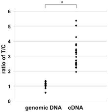 Trafił do więzienia, mówiono, że się stoczył. Myelin Basic Protein As A Novel Genetic Risk Factor In Rheumatoid Arthritis A Genome Wide Study Combined With Immunological Analyses