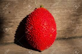 Have you ever tried rambutan? Fruit Of The Asian Region The Spiny Nature Is Fresh The Ball Stock Photo Picture And Royalty Free Image Image 75224544