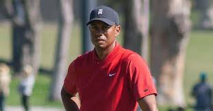 Deputy carlos gonzalez shares details about tiger woods' car crash, including tiger's initial. Investigators Determine Cause Of Tiger Woods Crash