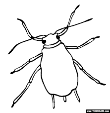 11 best free printable butterfly coloring pages for kids. Insect Online Coloring Pages
