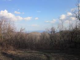 The patc cabins have mattresses, blankets, and cookware. The Pocosin Cabin Picture Of Potomac Appalachian Trail Club Cabins Shenandoah National Park Tripadvisor