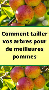 Epingle Sur Regime Alimentaire
