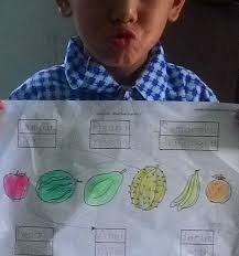 Gambar buah buahan anak tk. Menulis Dan Mewarnai Buah Rumah Pintar