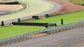 Image result for what is a horse race in golf