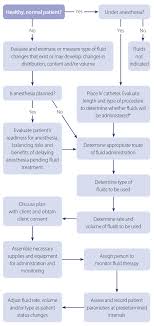 Model Algorithm