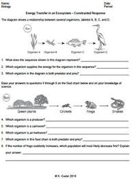 This Worksheet Has 34 Living Environment Regents Constructed Response Questions About Energy Transfer In An Ecosys Literal Equations Energy Transfer Ecosystems