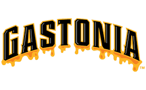 140 likes · 224 talking about this. Gastonia Professional Baseball Announces Team Name Unveils Brand