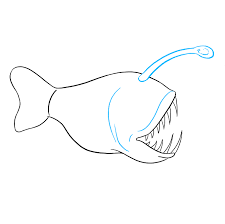 100% free coloring page of angler fish. How To Draw An Angler Fish Really Easy Drawing Tutorial
