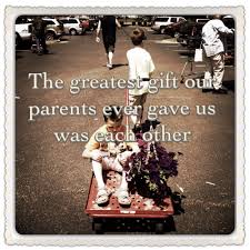 Pin By Kathy Fulkerson On Just Fun Sibling Quotes Brother N Sister Quotes Sister Birthday Quotes