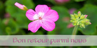 ⇓ image très drôle pour souhaiter bon courage avec humour à un collègue qui reprend le bout après une période de congés payés ou un arrête maladie. Textes Pour Souhaiter Bonne Reprise Et Bon Retour A Un Collegue