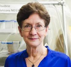 Collaborative Research Activities: ORNL Mercury SFA