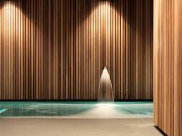 Maison Mpb By Ralph Germann Architectes Alpine House Indoor Pool Design Pool Designs