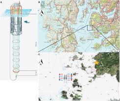 Discover the vessel's particulars, including capacity, machinery, photos and ownership. Frontiers Extreme Levels Of Ocean Acidification Restructure The Plankton Community And Biogeochemistry Of A Temperate Coastal Ecosystem A Mesocosm Study Marine Science