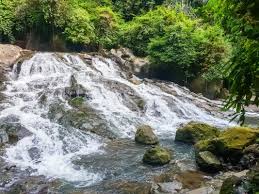 Check spelling or type a new query. Air Terjun Kanto Lampo Waterfall In Bali The Ultimate Guide