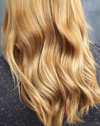 9 3 Light Golden Blonde Gold Blonde Hair Golden Blonde Hair Color Blonde Hair Color