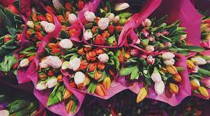 Non puntare sul solito mazzo di fiori o sul maglione di lana dimenticato che andrà dimenticato sul fondo dei cassetti. Quali Fiori Regalare Per Un Compleanno Idee Per Ogni Eta