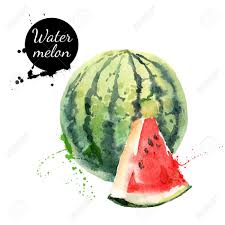 Main Peinture A L Aquarelle Tire Sur Fond Blanc Vector Illustration De Fruits Pasteque Illustration De Fruits Dessin Fruits Nourriture Aquarelle