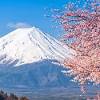 Mount fuji, tallest in japan. Https Encrypted Tbn0 Gstatic Com Images Q Tbn And9gcsmxrlmjxhpm 22cov3zztexszns P88dh1i4qgbnei2swshdxk Usqp Cau