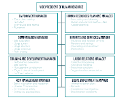 The Flow Of Responsibilities In A Human Resource Department Human Resources Career Planning Medical Services