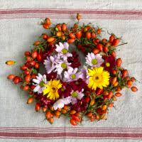 Ab wann gilt arbeit als nachtarbeit? Hagebuttenkranz Herbstliche Dekoration Mit Hagebutten Feinslieb