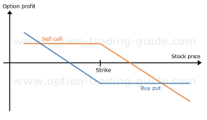 Check spelling or type a new query. Is There A Name For Buying A Put And Selling A Call At The Same Strike What Is The Downside Risk Quora