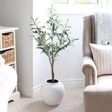 Check spelling or type a new query. Faux Olive Tree Marquis Dawe