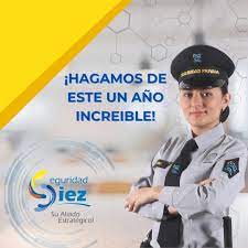 Seguridad Diez
