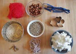 Vogelfutter Selber Machen Inspirierende Diy Ideen Und Rezepte Winter Meisenknodel Basteln Meisenknodel Vogelfutter Selber Machen Vogelfutter Selber Machen
