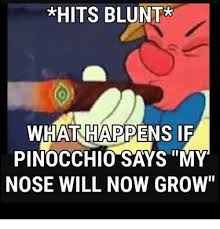 Hits Blunt What Happens If Pinocchio Says My Nose Will Now Grow Meme On Me Me
