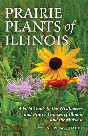 Black soil prairie flora gravel prairie flora. Prairie Plants Of Illinois A Field Guide To The Wildflowers And Prairie Grasses Of Illinois And The Midwest Chadde Steve W 9781951682132 Amazon Com Books